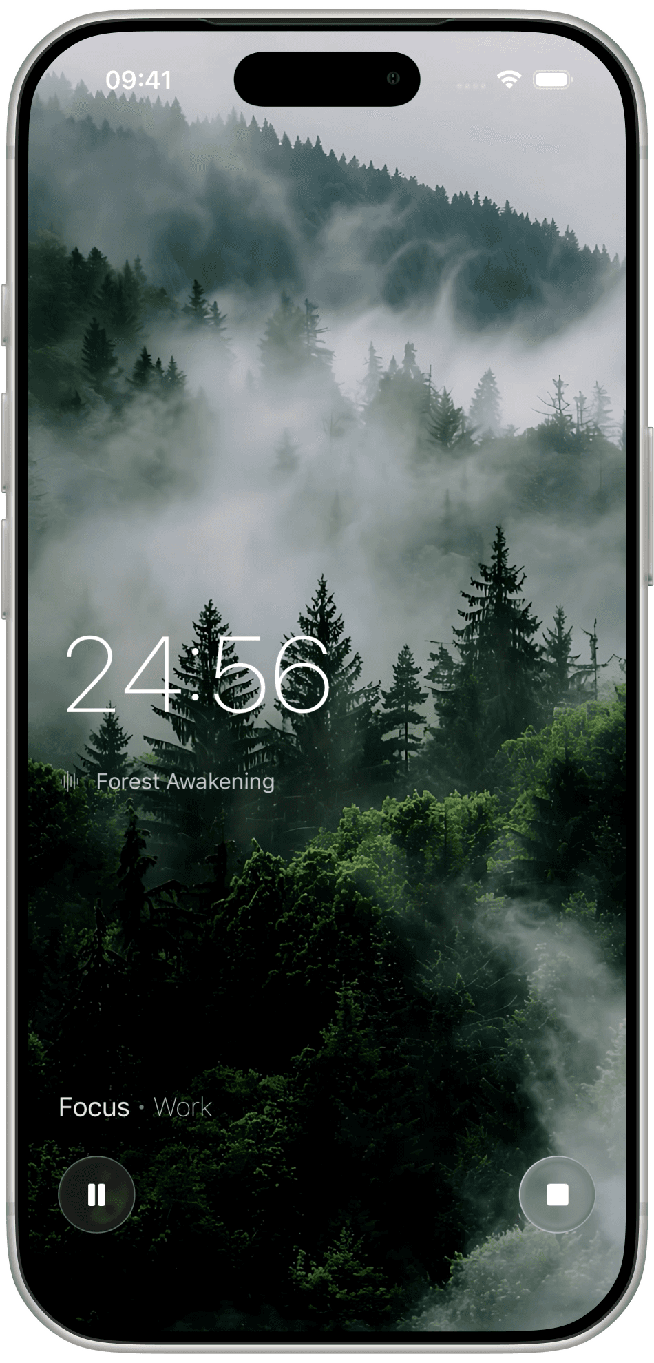 Melioris session running over a misty forest with a 24:56 timer and Forest Awakening